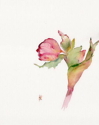 Oryginalna akwarela. Kwiat, alquadro