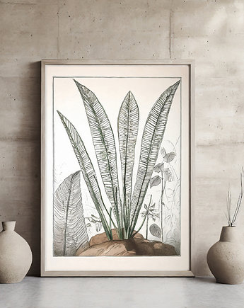 Plakat botaniczny, ArchiBotanica