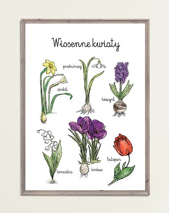 Plakat Wiosenne Kwiaty Montessori, Maja Montessori