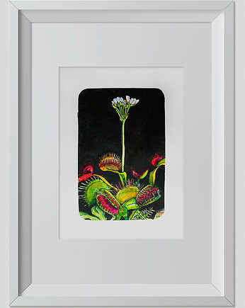 Rysunek Muchołówka Grafika 32x24cm + biała rama, ŁUKASZ KROKOSZ ART