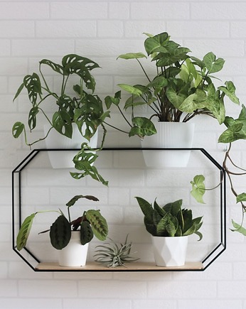 Kwietnik RUBY 2ct, SBN Design