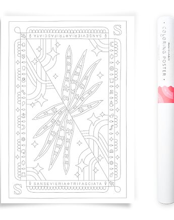 Plakat do Kolorowania Roślina Doniczkowa Sansevieria 50x70cm, Anna Grunduls Design