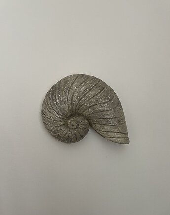 Płaskorzeźba Muszla, Zuzia Mikołajczuk    Zuz van Miko