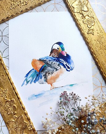 Akwarela kaczka, Wiktoria Borys Art