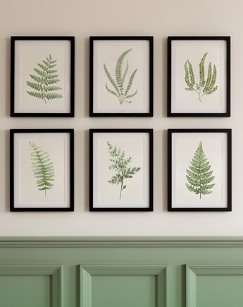 Ilustracje botaniczne paproć akwarela leśna dekoracja, black dot studio