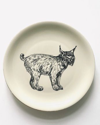 Ryś, arent plates