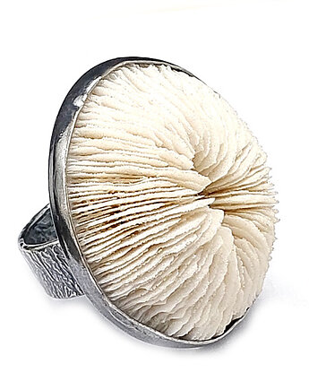 Grzybowieniec- niezwykły koral grzybowy, ZAMIŁOWANIA - Super prezenty