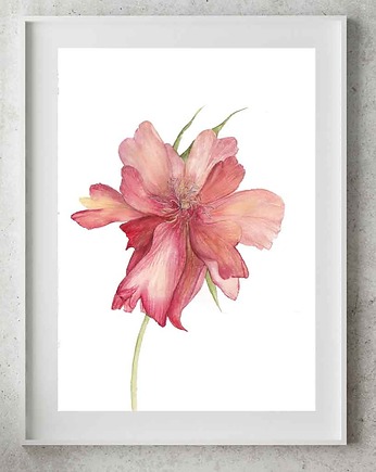 Plakat "Ulotny Rozkwit Piwonii" Kwiat Malowana Piwonia, My Moment