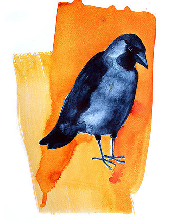 Plakat Kawka, Warsaw Birds