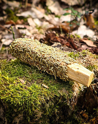 Palo Santo leśne jałowiec i cedr, Czarowanie