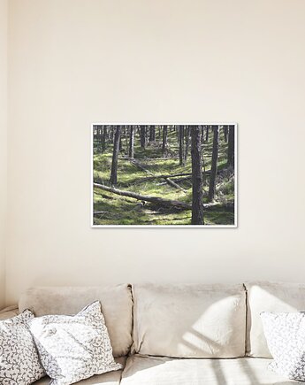 Fotografia autorska z cyklu "Park Narodowy", mamam