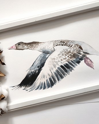 Akwarela gęś, Wiktoria Borys Art