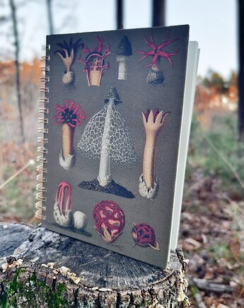 LNIANY PLANER 2026 Kalendarz zbioru grzybów prozdrowotnych format B5, LEELA DESIGN