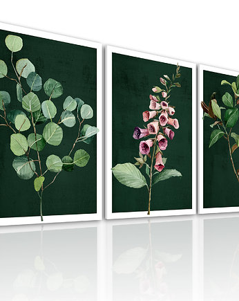 OBRAZ NA PŁÓTNIE -ROŚLINKI 3 części 50x70cm, NOWdeco