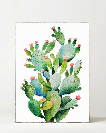 Plakat Kwitnący kaktus, Regina Land Atelier