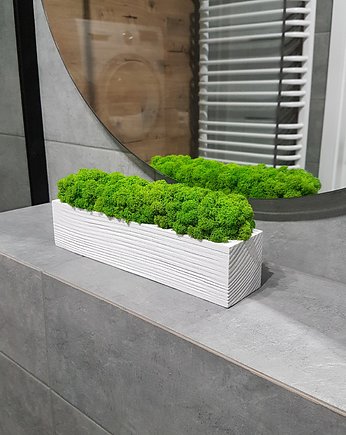 Biała doniczka z mchem chrobotkiem 30 cm, Loveplants