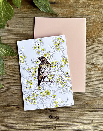 Drozd Śpiewak - Kartka- Grafika- Ilustracja- Ptaki, BOSKE