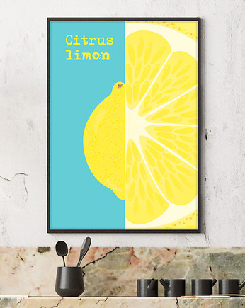 Cytryna - plakat fine art, giclee, minimalmill