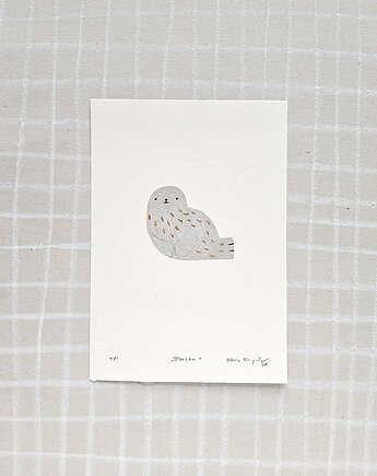 Grafika z Foczką, Mała ilustracja na prezent, kasiakucwaj