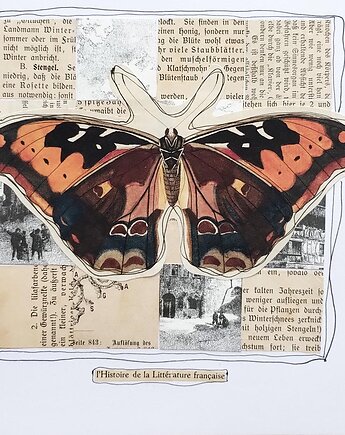 Oryginalny collage, Galeria Belladonna