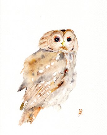 Oryginalna akwarela. Sowa, alquadro