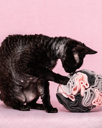 Kula węchowa, Smakula na przysmaki dla psa i kota KAMIENNA RÓŻA, THE MISS CAT