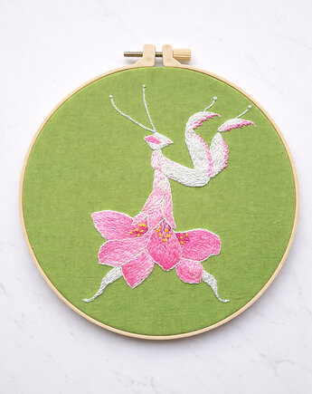 Modliszka storczykowa., FOL studio