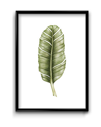Plakat - Bananowiec, Bury Lis