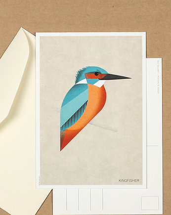 Pocztówka, zimorodek, kingfisher, ptak, Galeria EMU