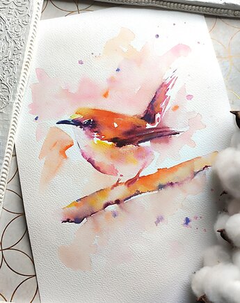 Akwarela strzyżyk, Wiktoria Borys Art