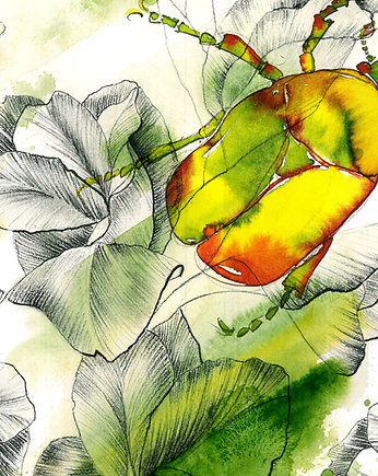 Skarabeusz 2 - grafika, Karolina Kierat