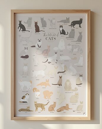 Plakat The Worlds of Cats, Follygraph