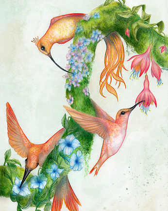 Kolibry - plakat, OSOBY - Prezent dla dwulatka
