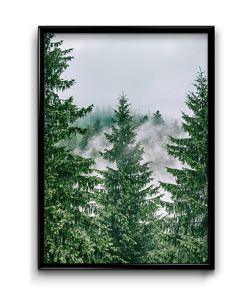 Plakat Las Świerkowy, Bury Lis