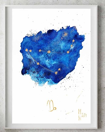 Gwiazdozbiór Koziorożca Znak Zodiaku Koziorożec, My Moment