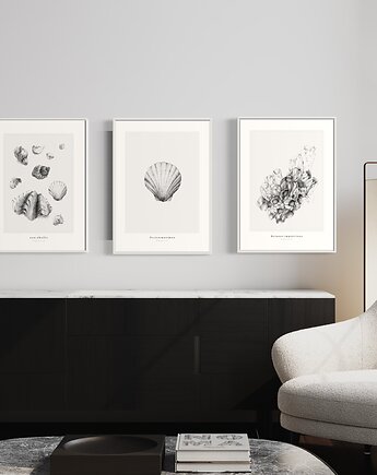 Muszle - Komplet 3 wydruków, Margo Hupert