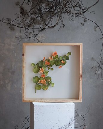 Obiekt botaniczny z papieru, roślina - nasturcja duża, Bibula Blooms