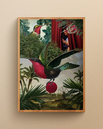 Plakat Koliber, W Wirażu Kolażu