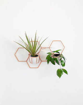 Kwietnik NUKI, hexal design