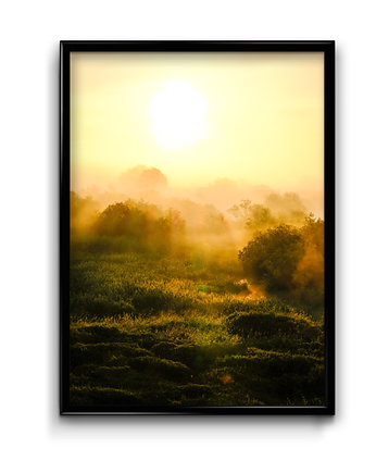 Plakat Nad Bugiem No.4, Bury Lis