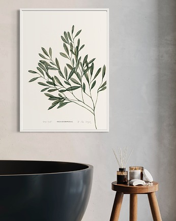 Oliwka print, Margo Hupert