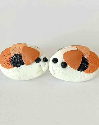 Kolczyki Śwnki Morskie, OMIFIMO