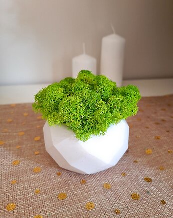 Okrągła doniczka z chrobotkiem, Florals&Moss