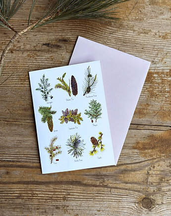 Iglaki- Kartka- ilustracja- las, BOSKE