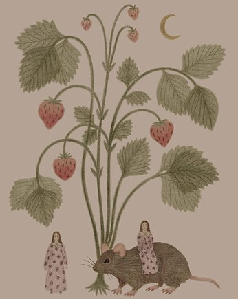 Strawberry Bush, Lucernarium