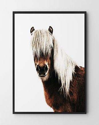 Koń - plakat - różne formaty, OKAZJE - Prezenty pod Choinkę