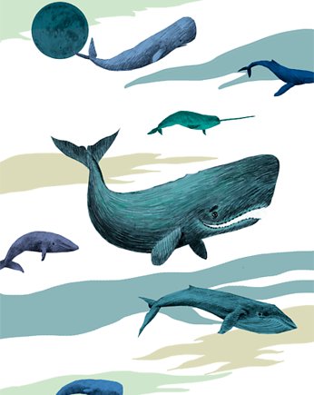 whale night, Tiri riri