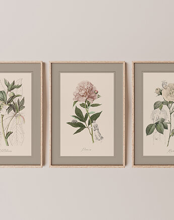 Autorskie ilustracje botaniczne A3, OKAZJE - Prezent na 60 urodziny