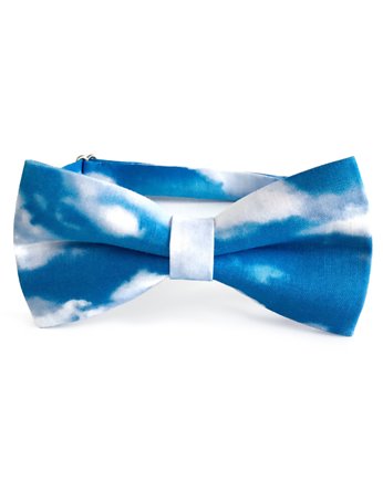Bluesky. Niebieska mucha w chmury, Maja Allure