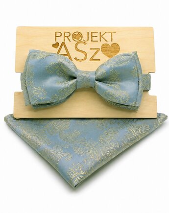 Muszka błękitno-złota, Projekt ASz